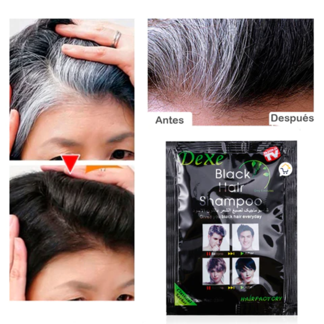 Shampoo cubre canas x10 sachet negro