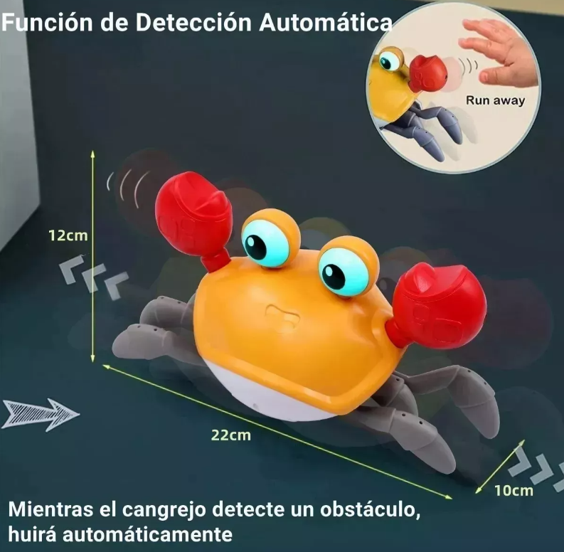 Cangrejo caminador Montessori USB