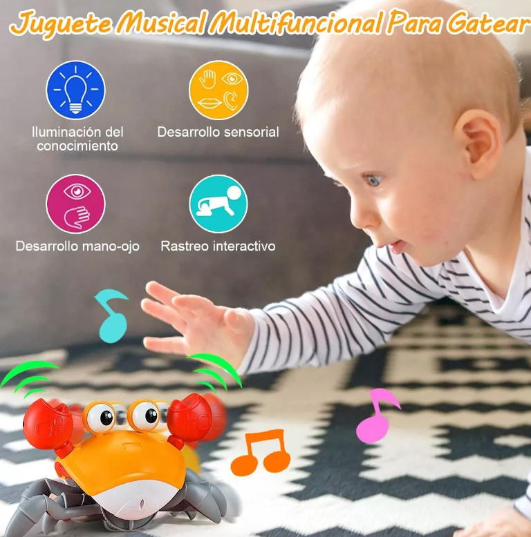 Cangrejo caminador Montessori USB