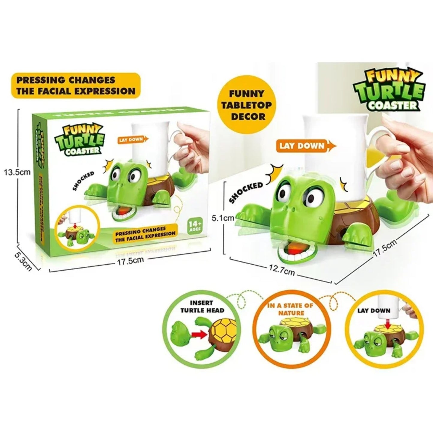Posavasos Tortuga Divertido
